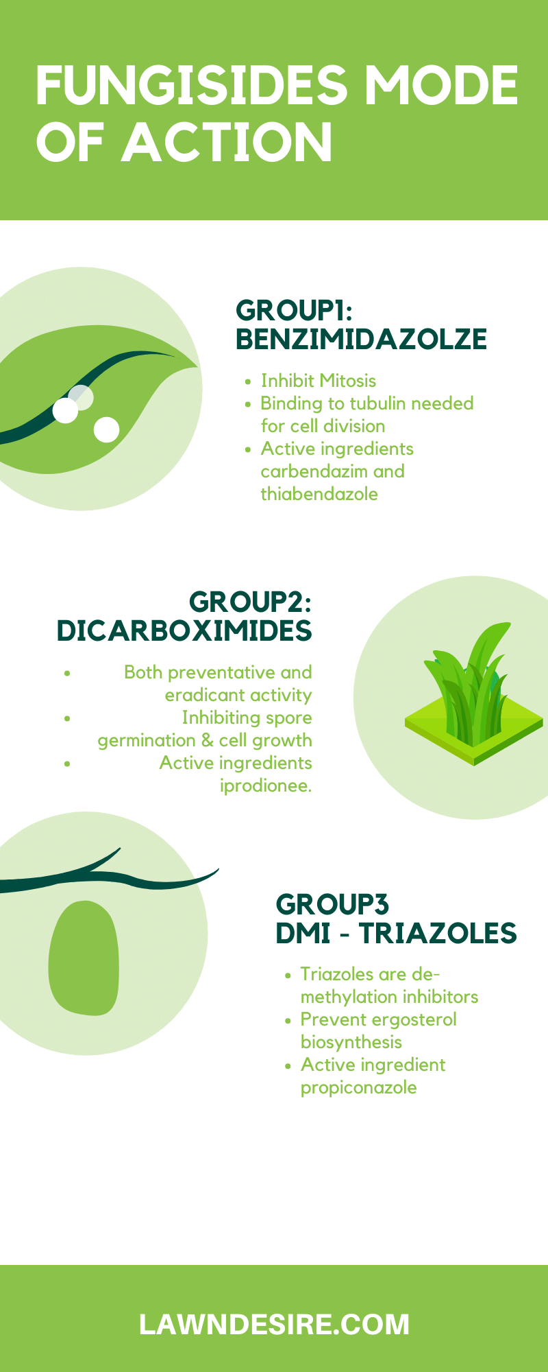 The 7 Best Fungicides for Lawns (2021 Reviews & Application Guide ) 10 fungicides mode of action