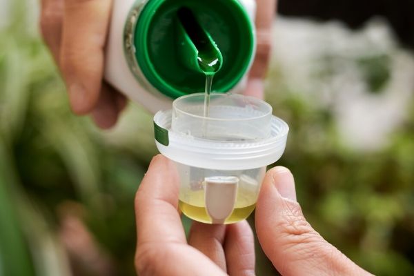 The 9 Best Fertilizer for Strawberries 2021 (Reviews & Guide) 11 best liquid fertilizer for strawberries