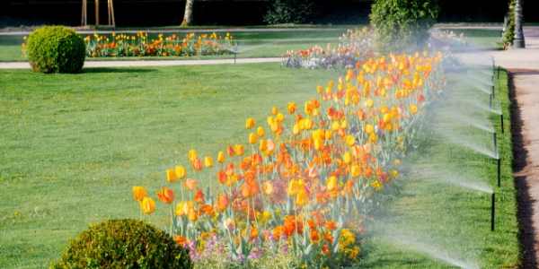 The 9 Best Liquid Fertilizer for Lawns 2021 (Reviews & Guide) 11 best fertilizer