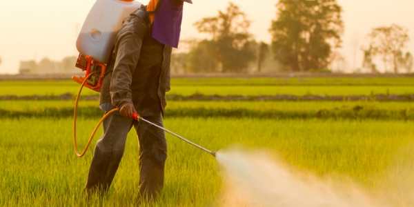 The 9 Best Liquid Fertilizer for Lawns 2021 (Reviews & Guide) 10 best liquid fertilizer