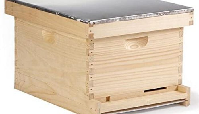 How to Make Beehive - Follow 5 Simple Steps 8 Langstroth-beehive