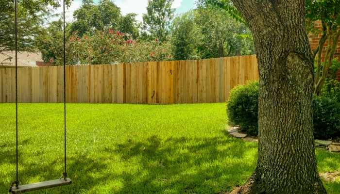 9 Best Grass Seed for Shade in 2021 (Reviews and Guide) 10 how to grow grass in shade