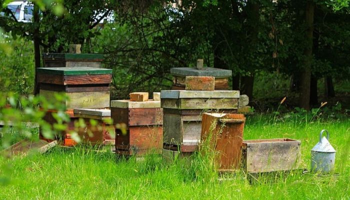 How to Make Beehive - Follow 5 Simple Steps 5 place of beehive