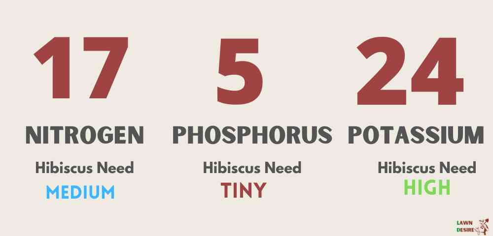 Top 9 Best Fertilizer for Hibiscus - (2021 Reviews and Guide) 1 hibiscus-nutrients