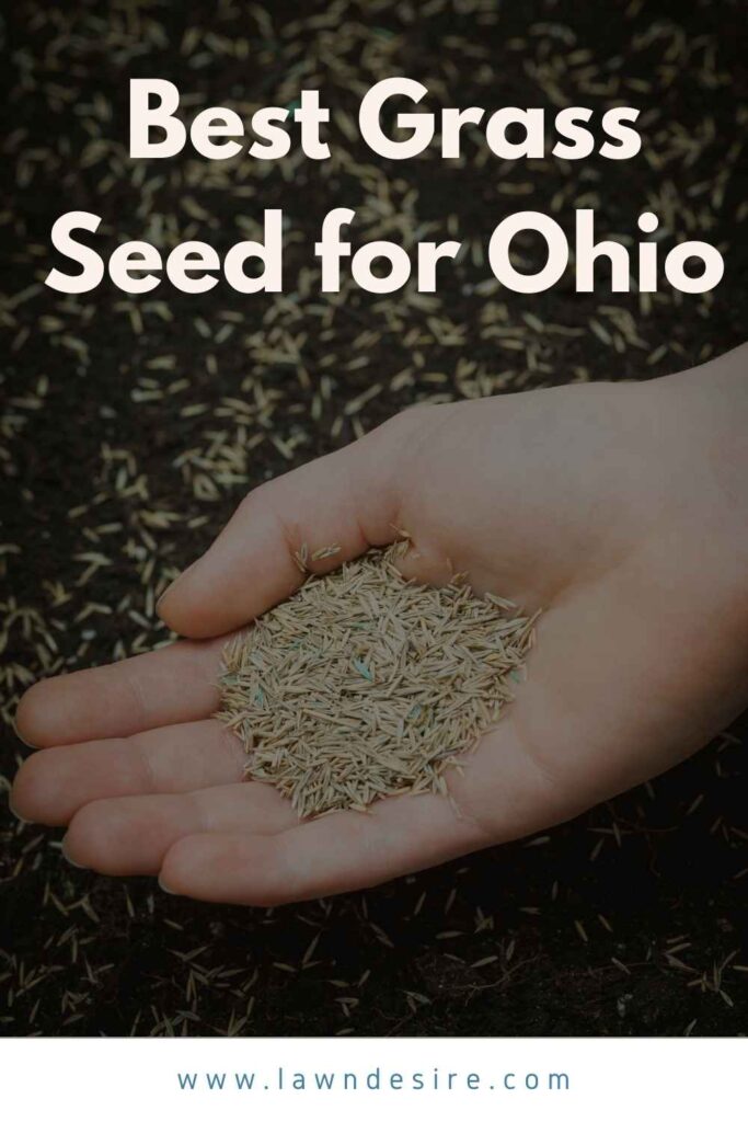 6 Best Grass Seed for Ohio - 2021 Reviews 7 best grass seed for ohio