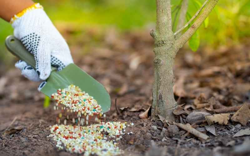 How Much 10-10-10 Fertilizer Per Square Foot 2 10-10-10-Fertilizer