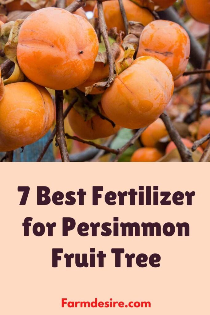 7 Best Fertilizer for Persimmon Fruit Trees - 2021 Reviews 8 fertilizer for Persimmon Fruit Tree