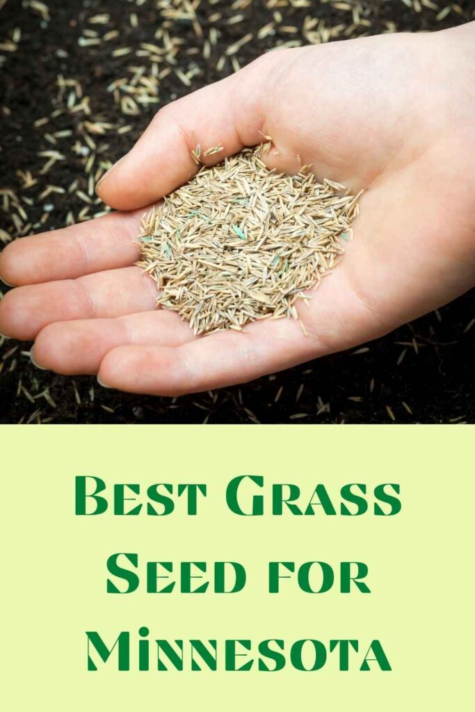 4 Best Grass Seed for Minnesota - 2021 Reviews 5 Grass Seed for Minnesota