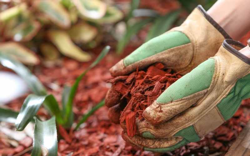 How Much Does 2 Cubic Feet of Mulch Cover? 2 How-much-does-a-2-cubic-mulch-bag-weigh