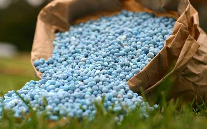How Much Fertilizer Per Acre of Pasture - Complete Guide 1 fertilizer for pasture