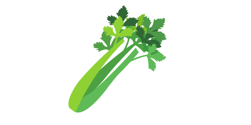 How Much Does Celery Cost? 1 Celery Cost