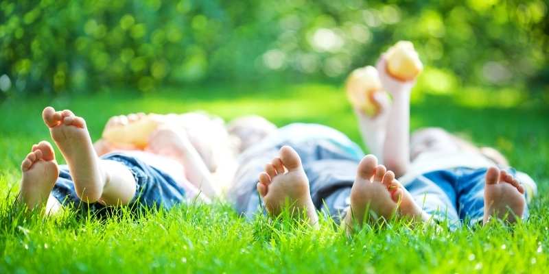 Does Human Urine Kill Grass? 1 human urine for grass