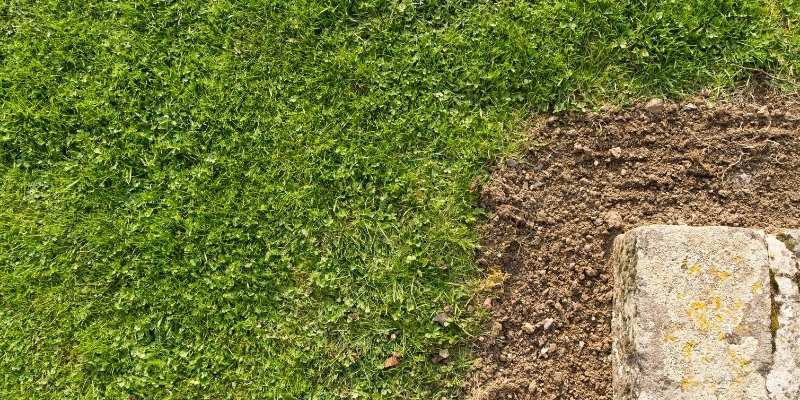 Can You Mow The Lawn In The Rain? 3 soil-damage