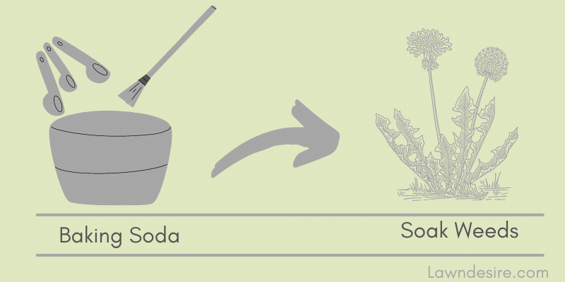 How to Use Baking Soda As Weed Killer? 1 Baking-Soda