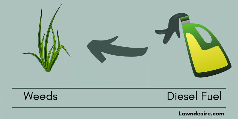 Killing Weeds With Diesel Fuel: How to Use? 1 Diesel-Fuel